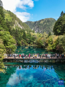 “快進漫游”體驗生態(tài)九寨溝最美風景線