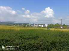 湖南黃公村：糧食生產(chǎn)先進村成功路上“藏”密碼